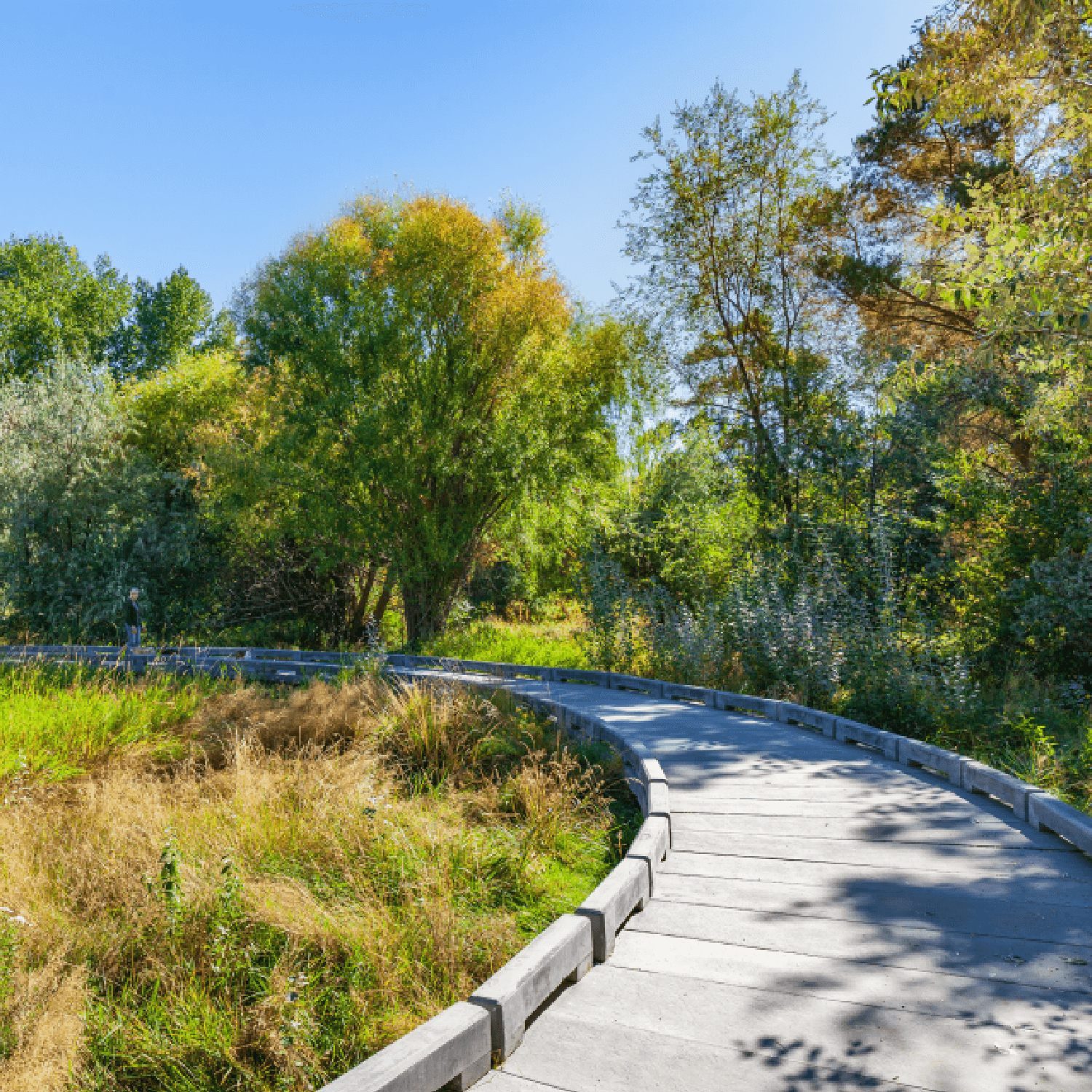 Nature pathway through landscape